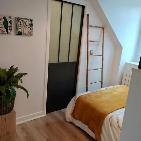 Apartment ☆ T2 Hypercentre ✢ A 400m ✢ Equipe ☆ Dinard